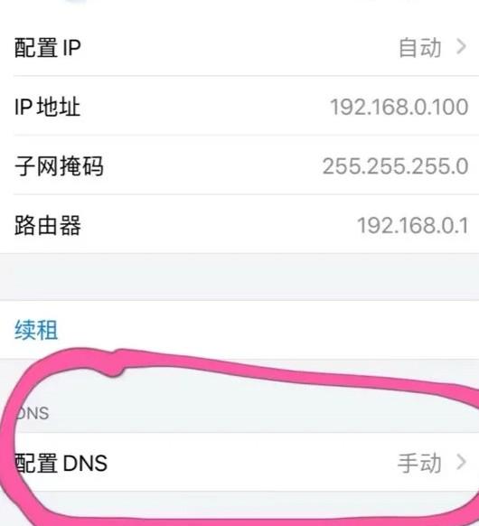 手機調整DNS設置示意圖