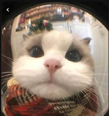 海外怎麼用QQ音樂聽歌？留學生親測有效的解決方案大公開