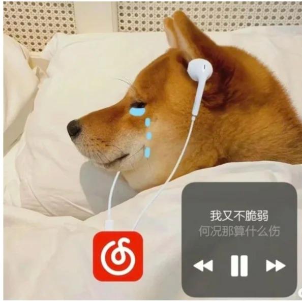 出國後網易雲歌單變灰？音樂版權地域限制解決方法