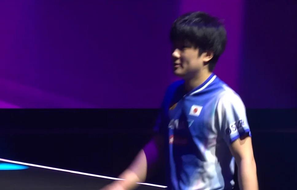 張本智和比賽圖片