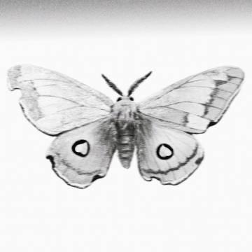 海外華人必看!突破地區限制完整指南:從《冬蛾》新歌卡頓問題到流暢追劇聽歌實戰技巧