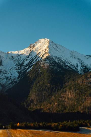 海外華人追劇聽歌總卡頓？我用了這招連線大陸影音平台，終於能流暢看《繁花》了