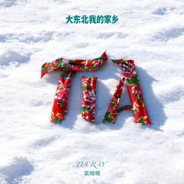 在國外突然想聽《大東北我的家鄉》卻被擋？海外華人破解影音地區限制的真心話