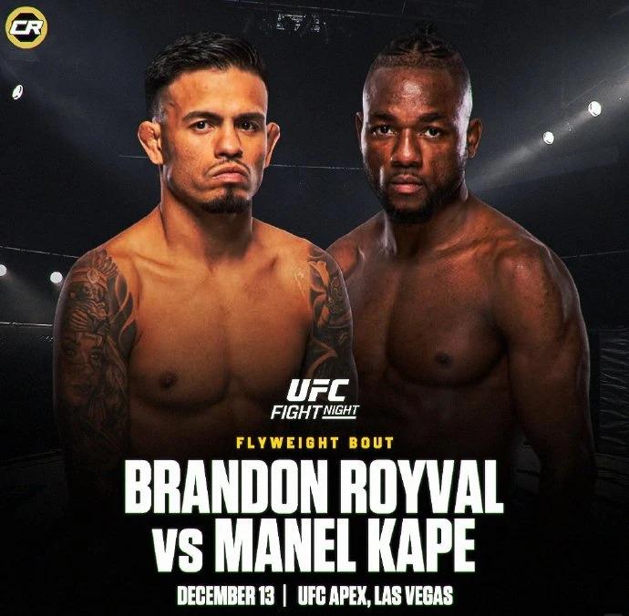 UFC蠅量級選手激烈對戰示意圖